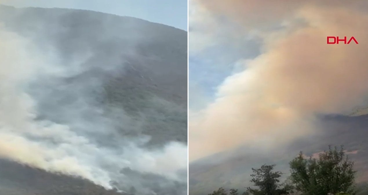 bartindaki kure daglari milli parkinda yangin cikti ygRKiW5d