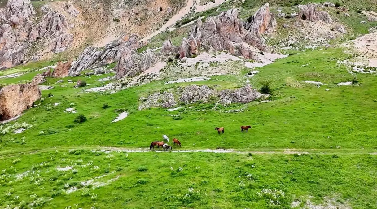 munzur daglarinda yilki atlari IAIVqSHX