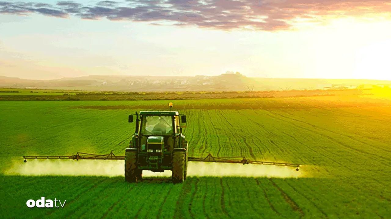 tarim efsanesi de konkordato ilan etti 3Hl12qGz