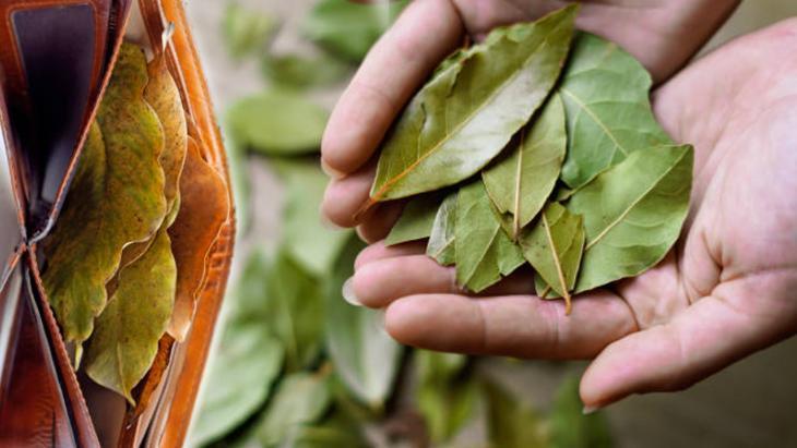 folyoya sarip cuzdaniniza koyun bolluk ve bereket kapinizi calsin L49tEPOw.jpg