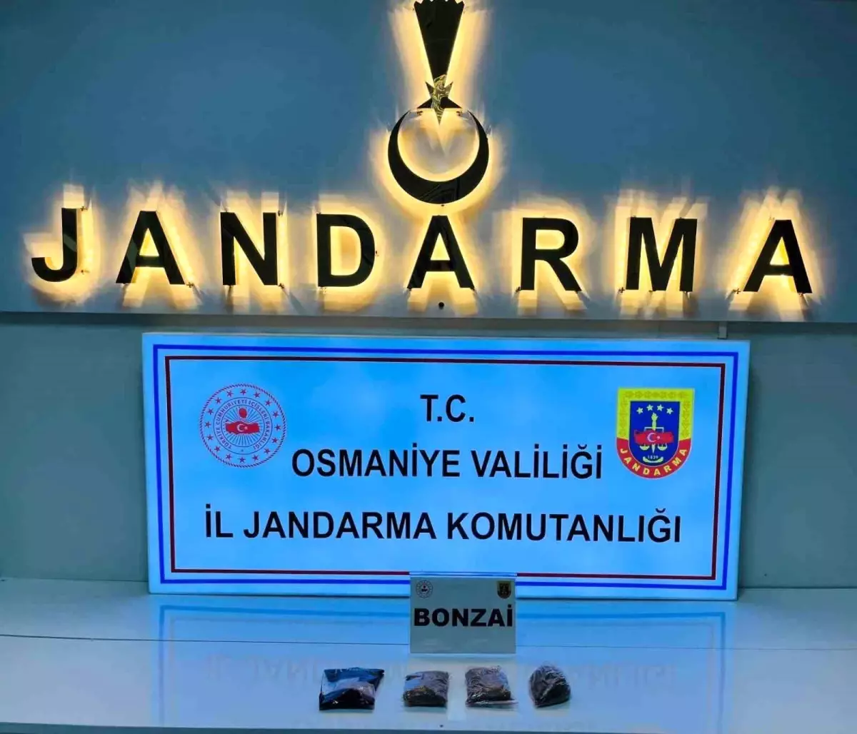 osmaniyede jandarmadan buyuk operasyon 124 supheli gozaltina alindi HZJ38z8C.jpg