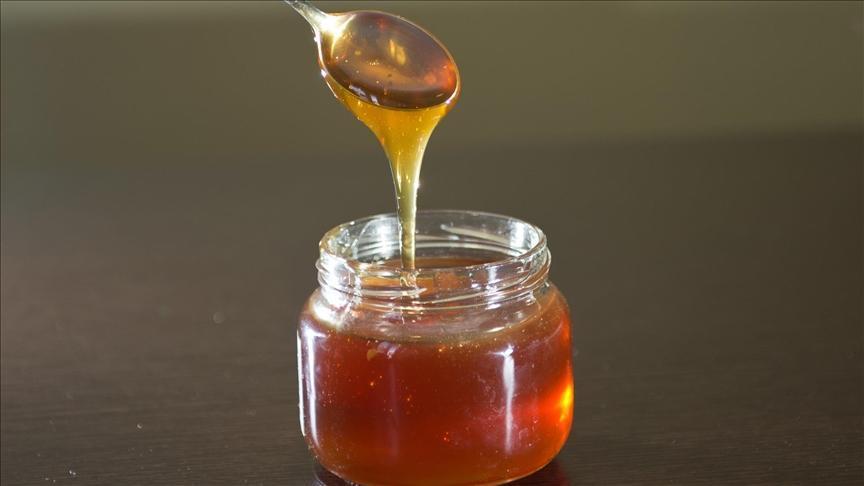 Doğu Karadeniz’in bal ihracatı 1,8 milyon doları aştı