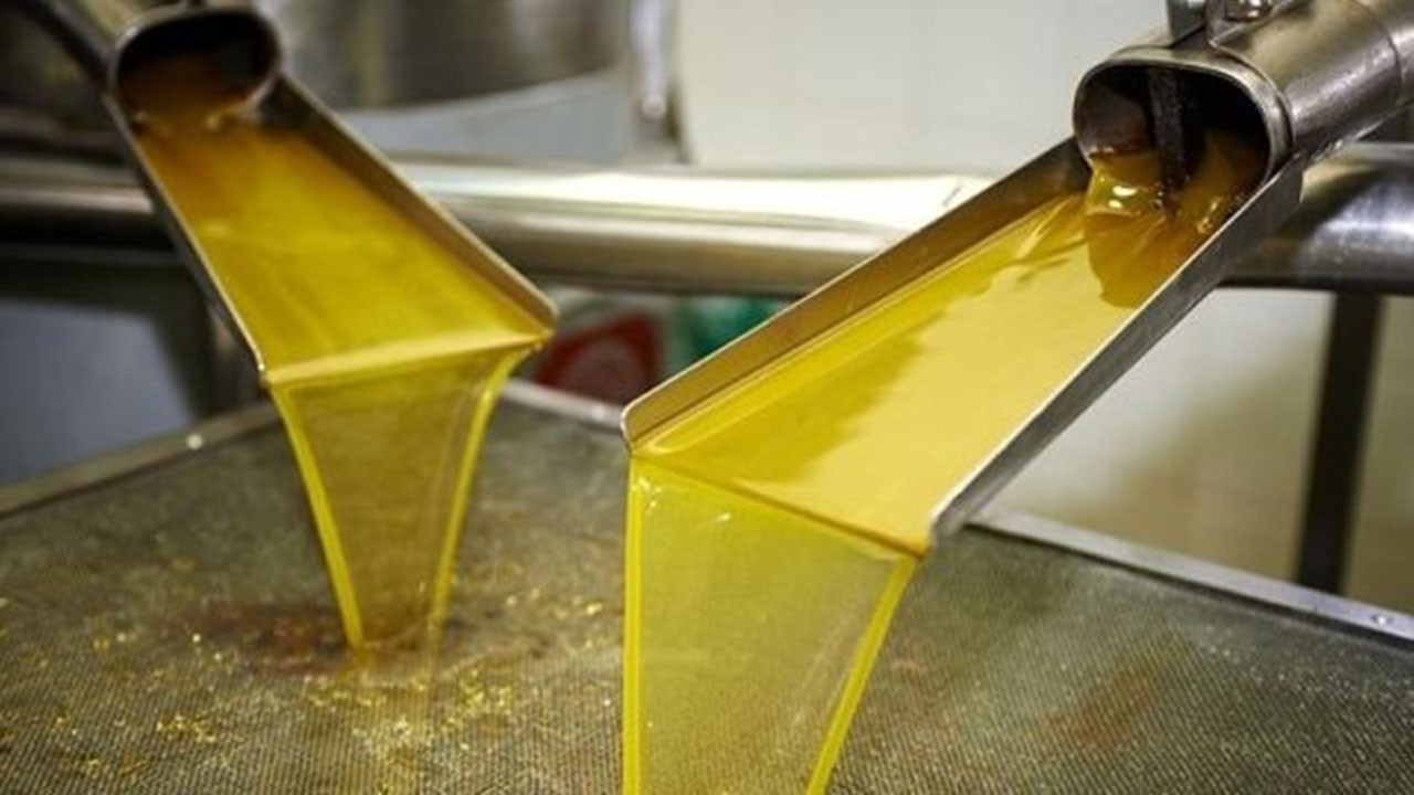 Zeytinyağı sektöründen tüketicilere uyarı: Piyasada 2023’ten kalan ürünler var