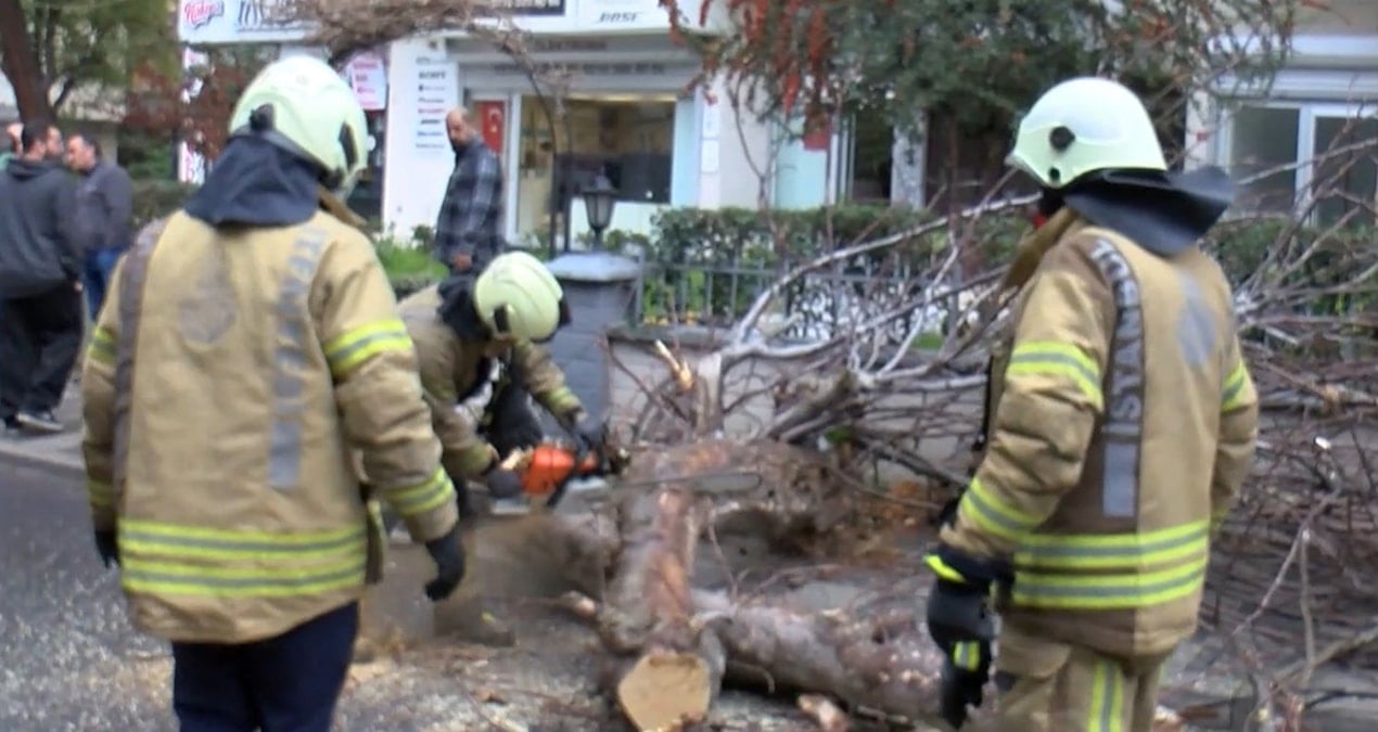 kadikoyde-seyir-halindeki-cipin-uzerine-agac-devrildi-yBB4sBBE.jpg
