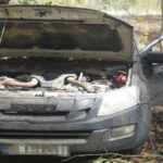miras-icin-babasini-patlayiciyla-oldurecekti-cezasi-belli-oldu-EjDvgTeg